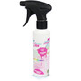 CleaningBox Cleaning Lotion Graffiti & Pen 250 ml spray bottle