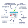  CleaningBox DNA & RNA RemoverMops S Reichweite bis 20 m, 25x13 cm, blau, 5er ZIP-Pack