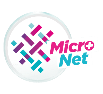 Icon Micronet